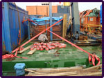 Multi Axle Low Bed Trucks 